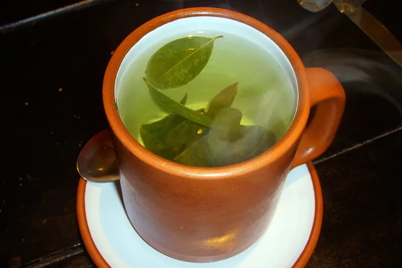 Xícara de chá de coca (mate de coca) com folhas